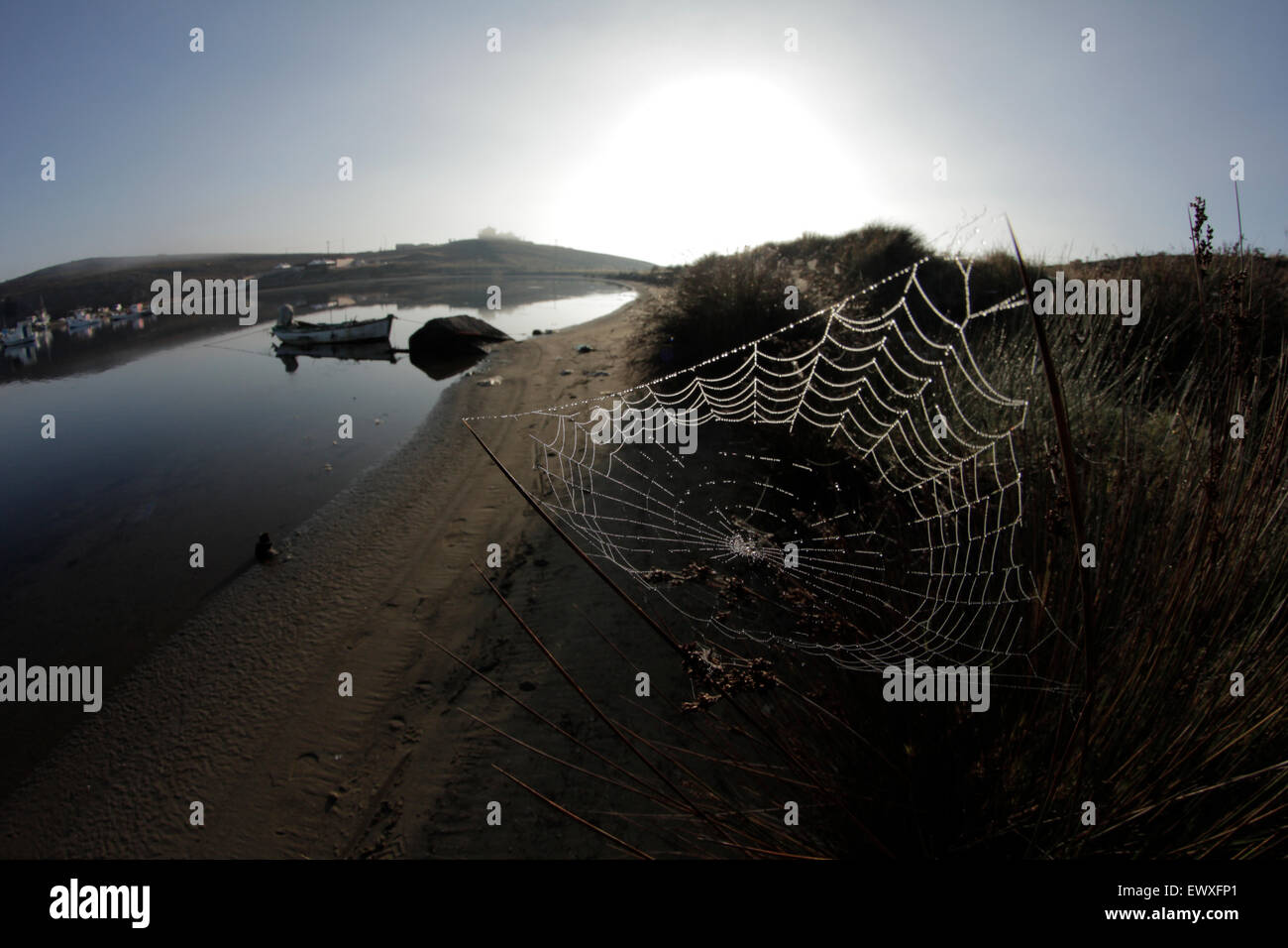 Fisheye view of a backlit spiderweb covered with the morning dew. Diapori shipyard, Kondias village bay. Limnos, Greece. Stock Photo