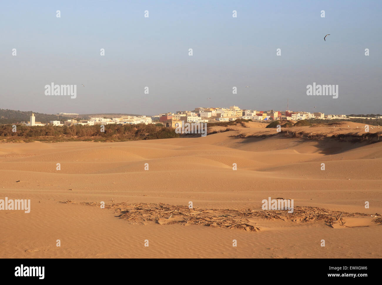 View across the sand dunes of Diabat, the little hippy town of the 60's, where Jimi Hendrix stayed, near Essaouira, Morocco Stock Photo