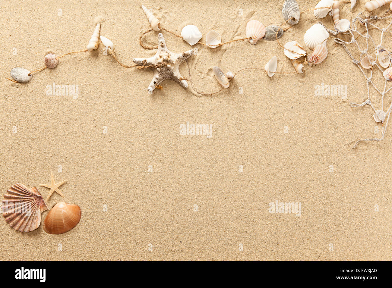 Seashells and net on the beach with room for text Stock Photo