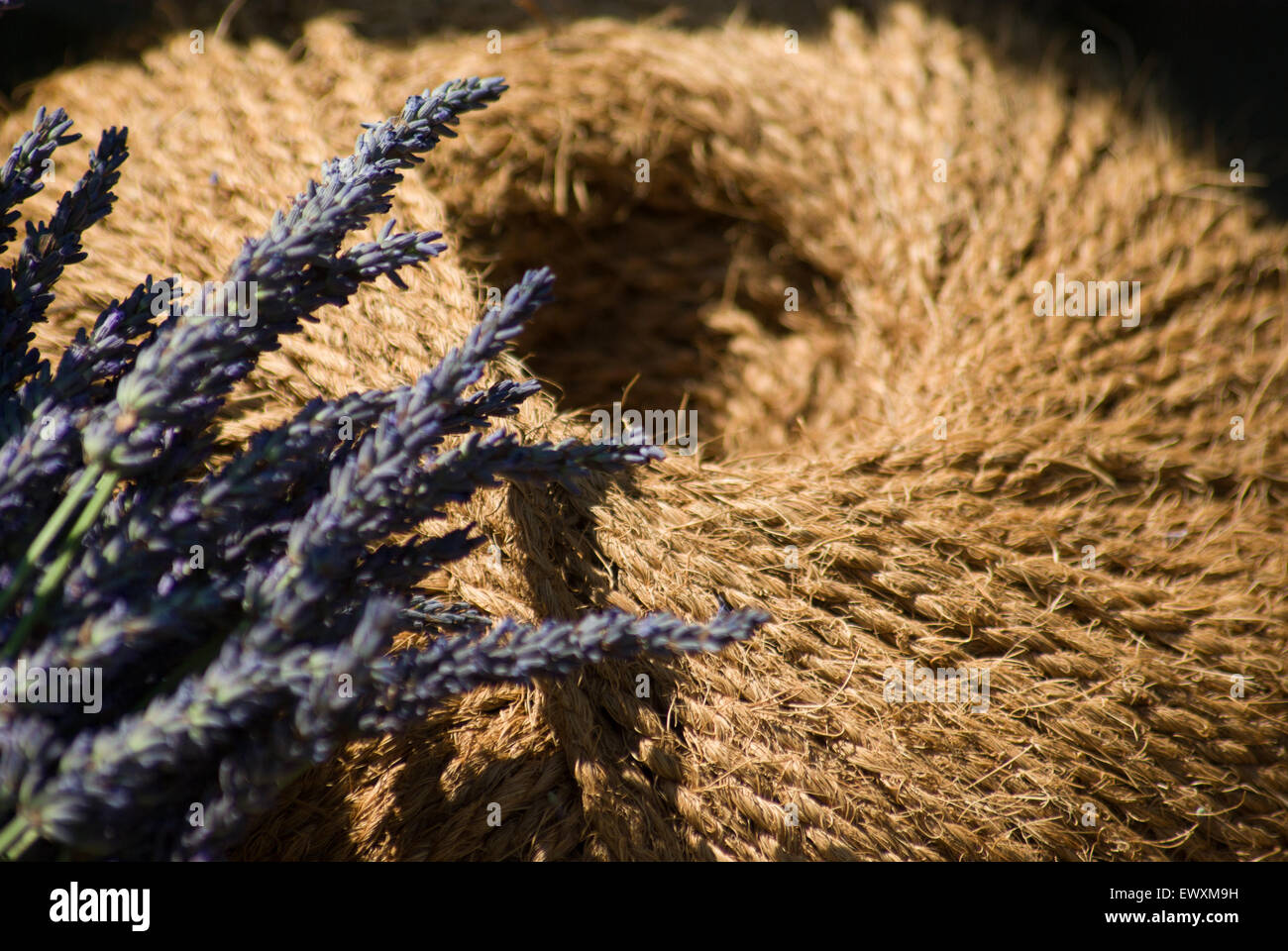 Lavender and twine Stock Photo Alamy