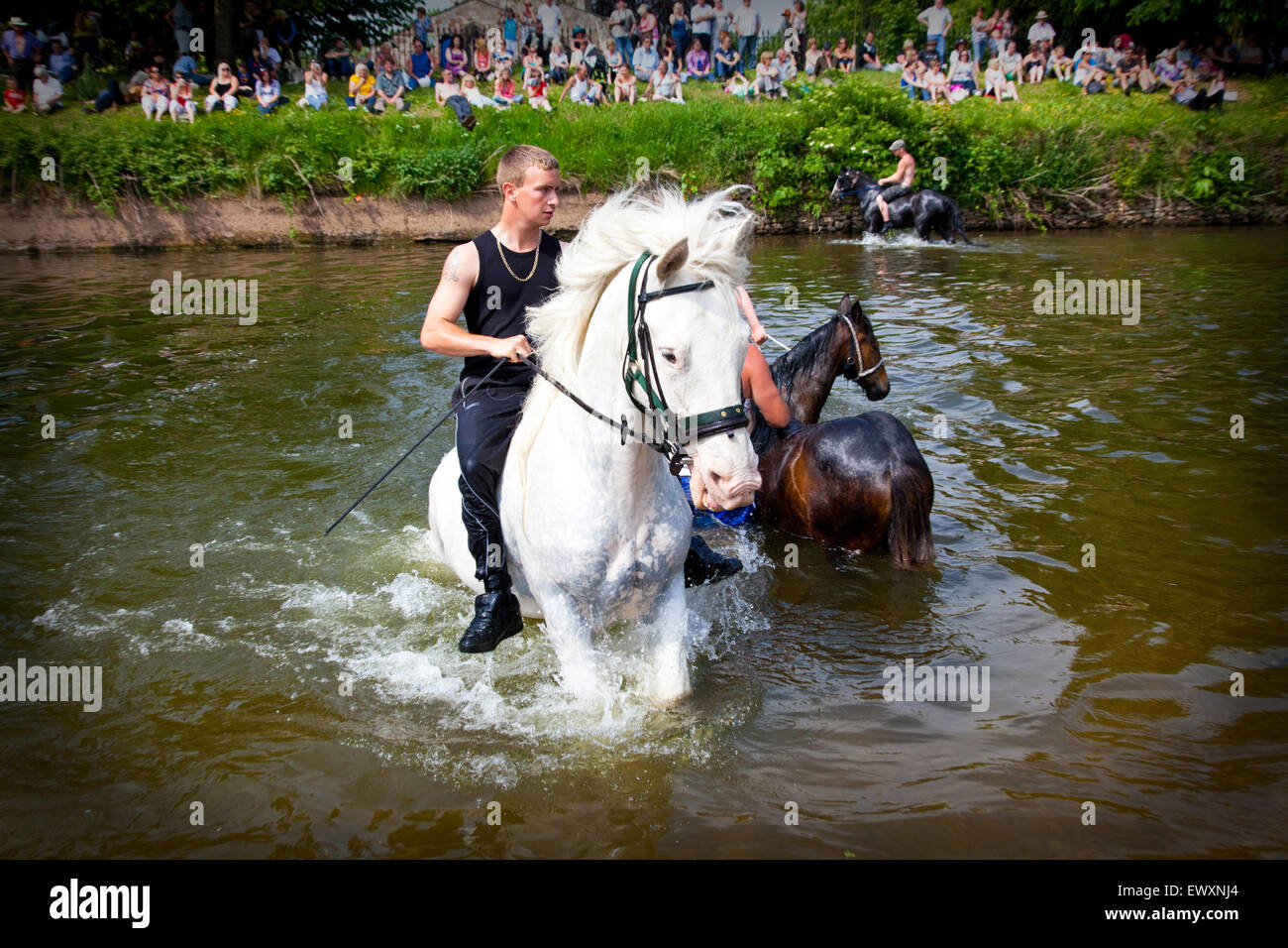 Washing a horse in the river during Appleby Horse Fair Stock Photo ...
