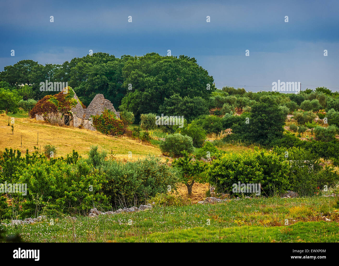 Italy Apulia Valle d'Itria Trulli and country Stock Photo Alamy