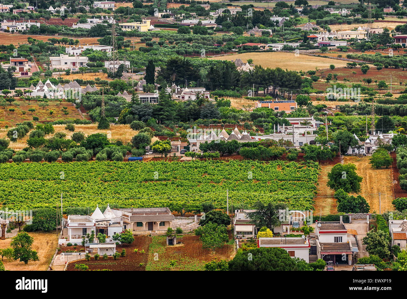Apulia Country Italy Apulia Valle d'Itria Trulli and country Stock Photo - Alamy