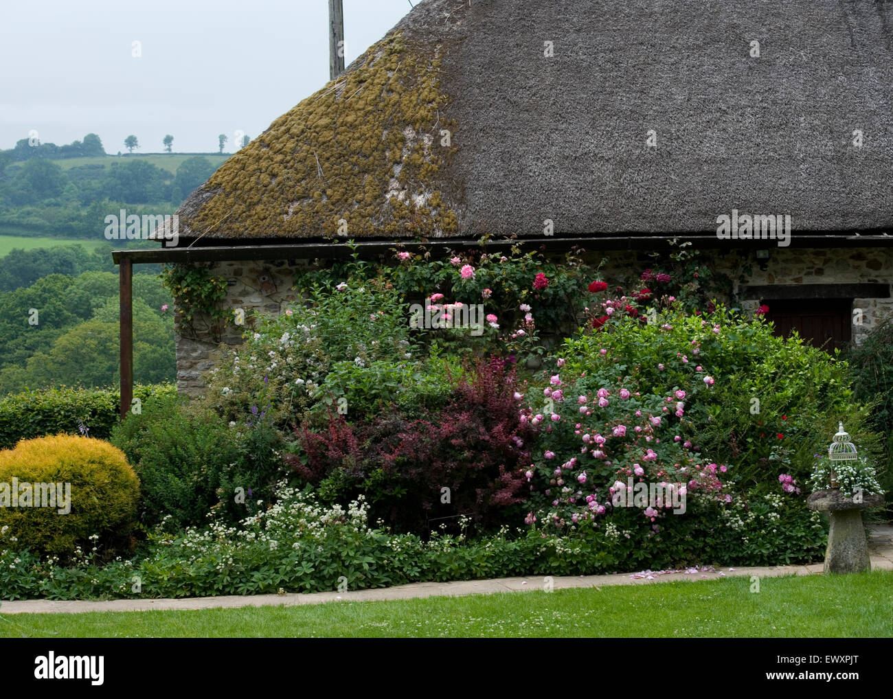 country cottage, devon Stock Photo