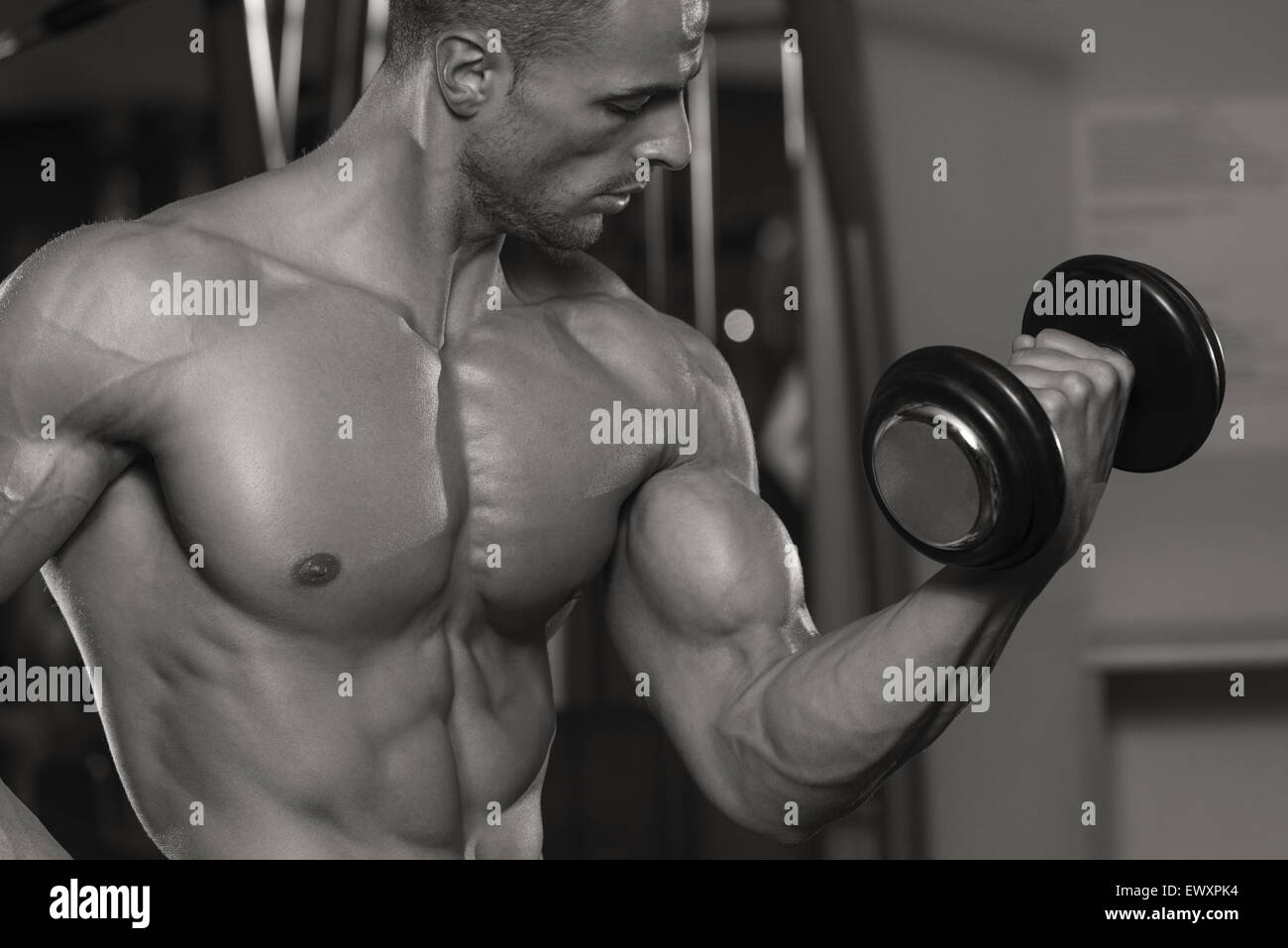Young Man Working Out Biceps - Dumbbell Concentration Curls Stock Photo ...