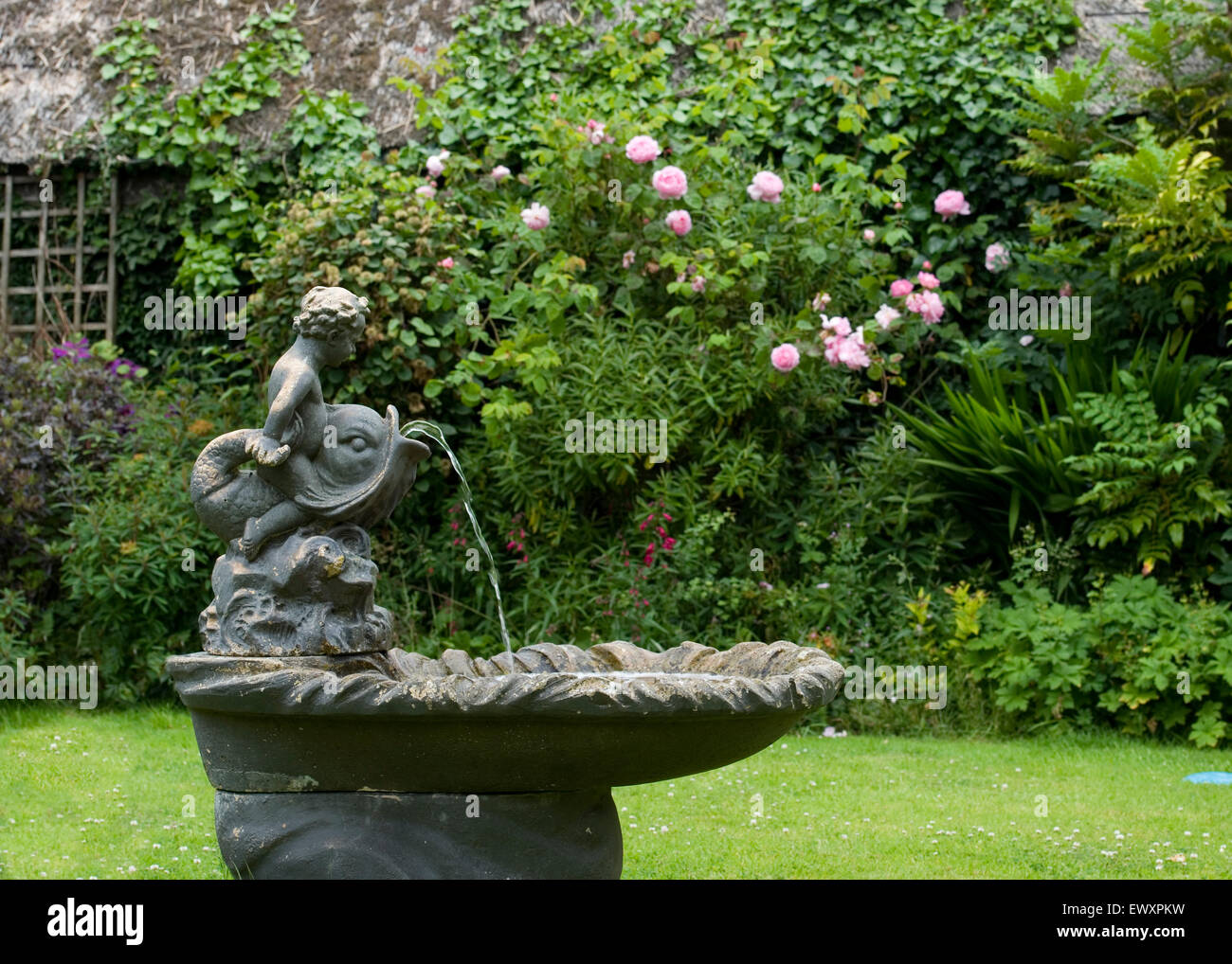 cherub and dolphin fountain in cottage garden Stock Photo