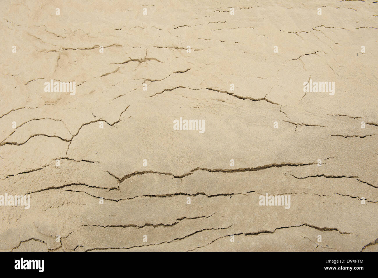 sand beach of the river. close up background Stock Photo - Alamy
