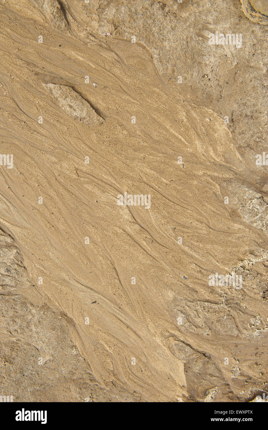 sand beach of the river. close up background Stock Photo - Alamy