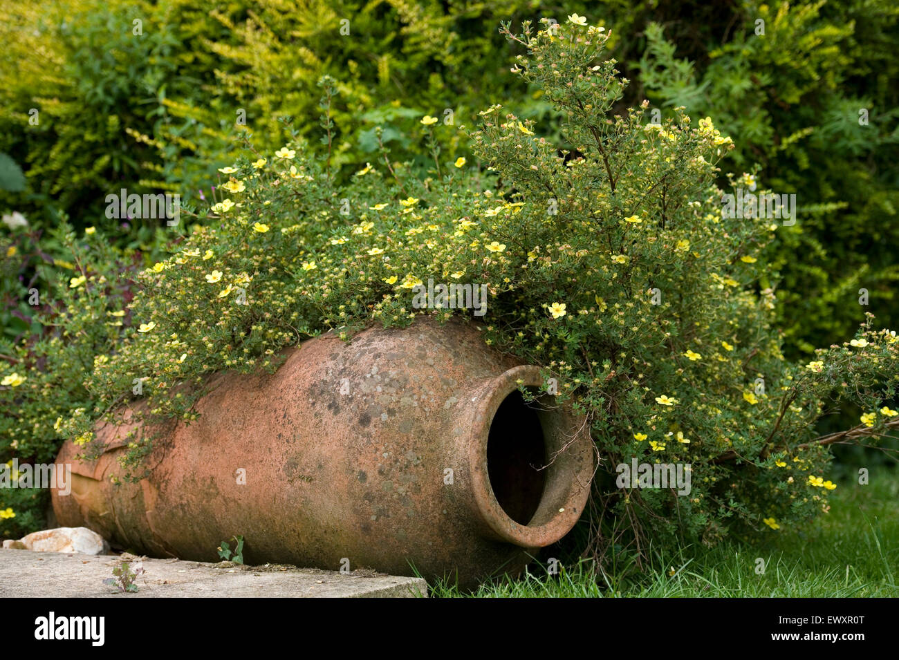 greek urn garden ornament Stock Photo