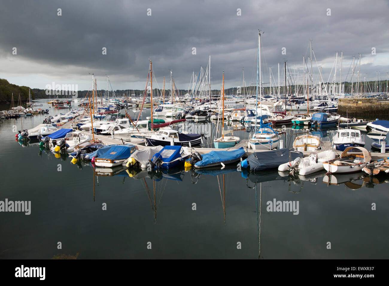 Yachts moored in marina, Falmouth, Cornwall, England, UK Stock Photo