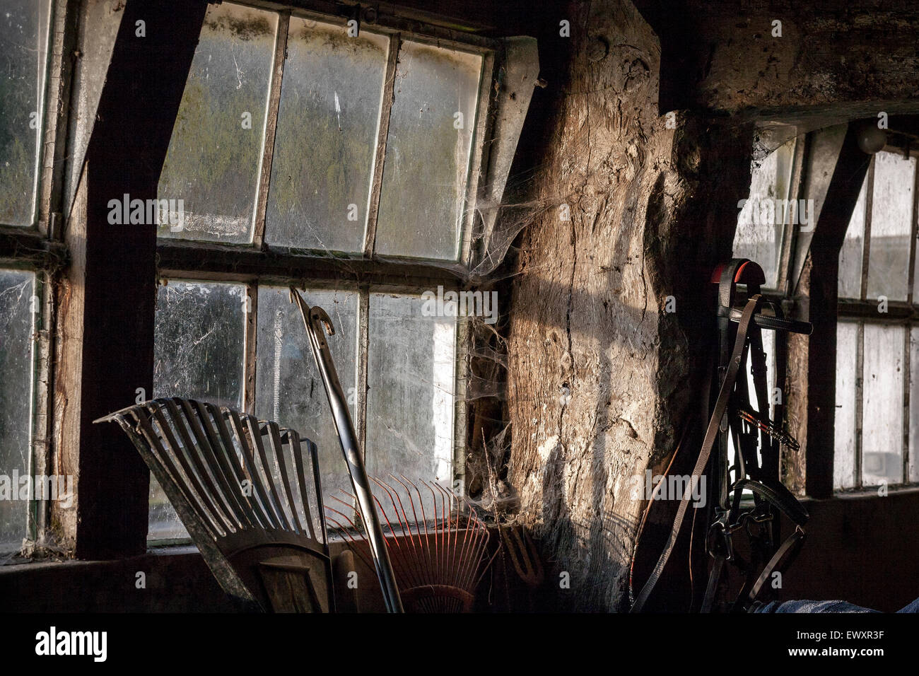gardening equipment in old barn, old window panes, Stock Photo