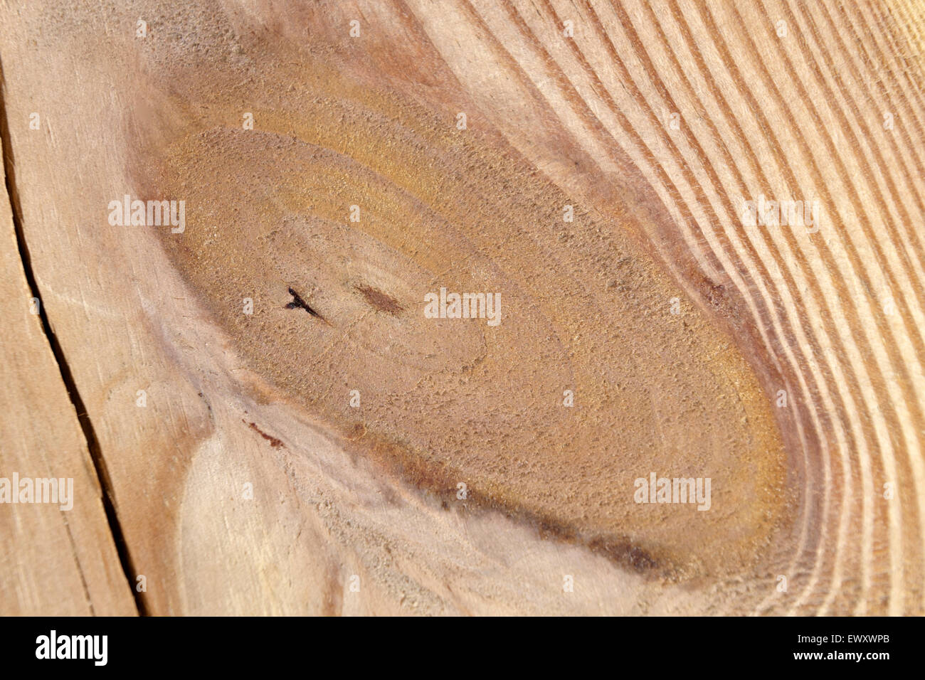 Knot in a construction grade Pine board. Stock Photo