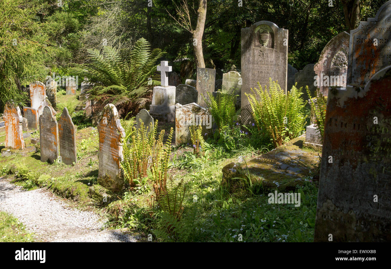Historic gravestones amidst sub-tropical plants, St Just in Roseland church, Cornwall, England, UK Stock Photo