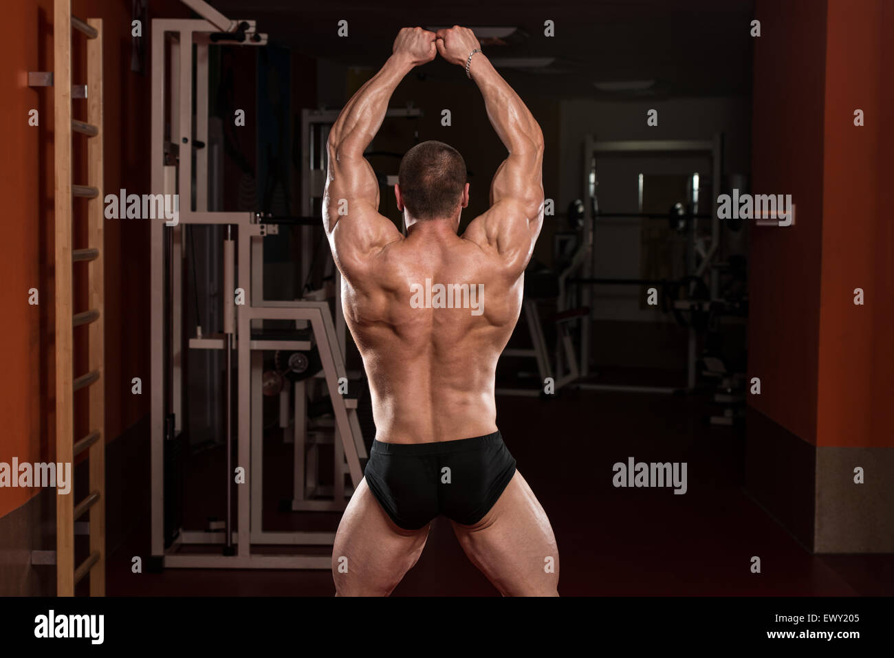 Best Bodybuilding Pose of Arnold SCHWARZENEGGER | FitnessCha… | Flickr