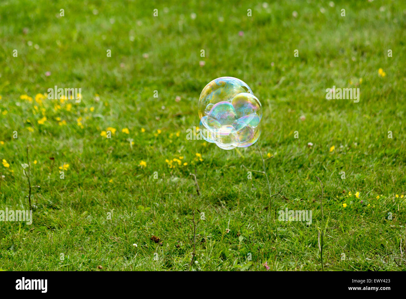 Soap bubble travels over the grass at the Canada Day festivial in Cannington, Ontario Canada Stock Photo