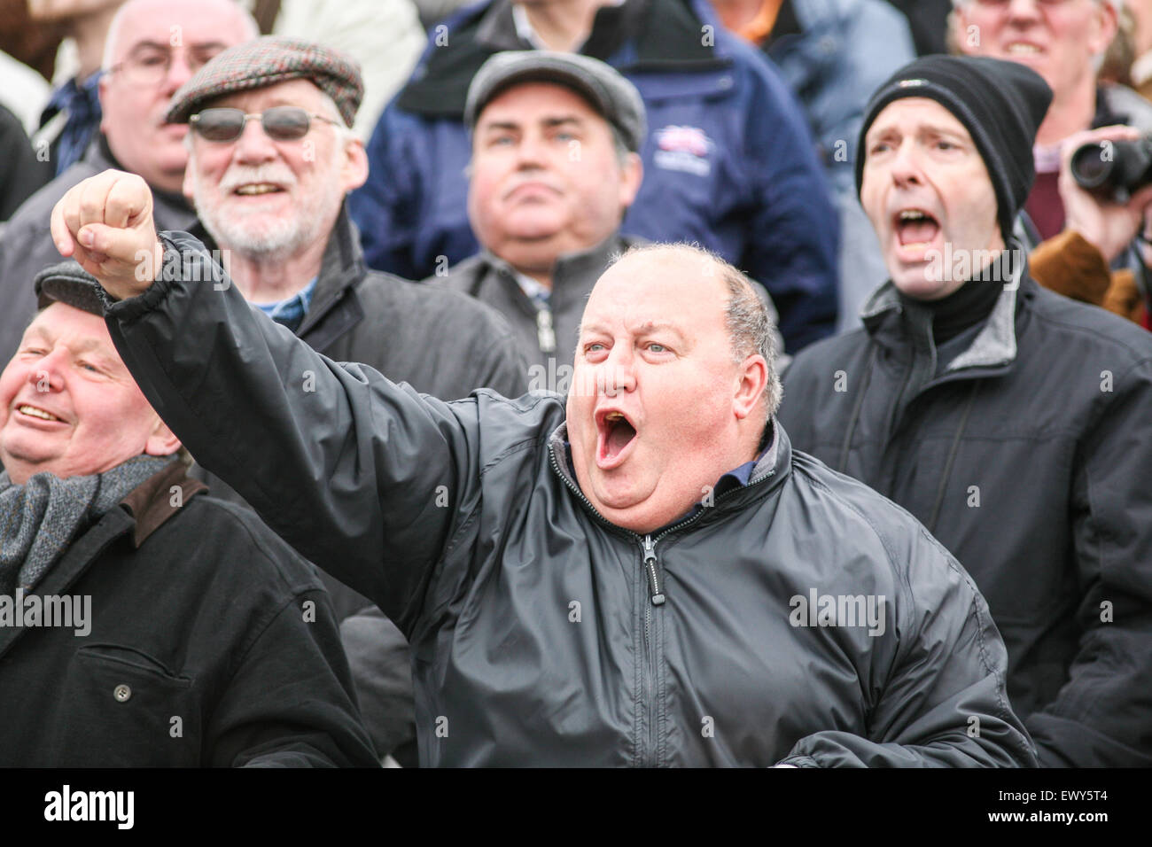 Cheering home their winning horse at Cheltenham (horse racing) Festival. The best jump racing in the world found in Gloucestersh Stock Photo