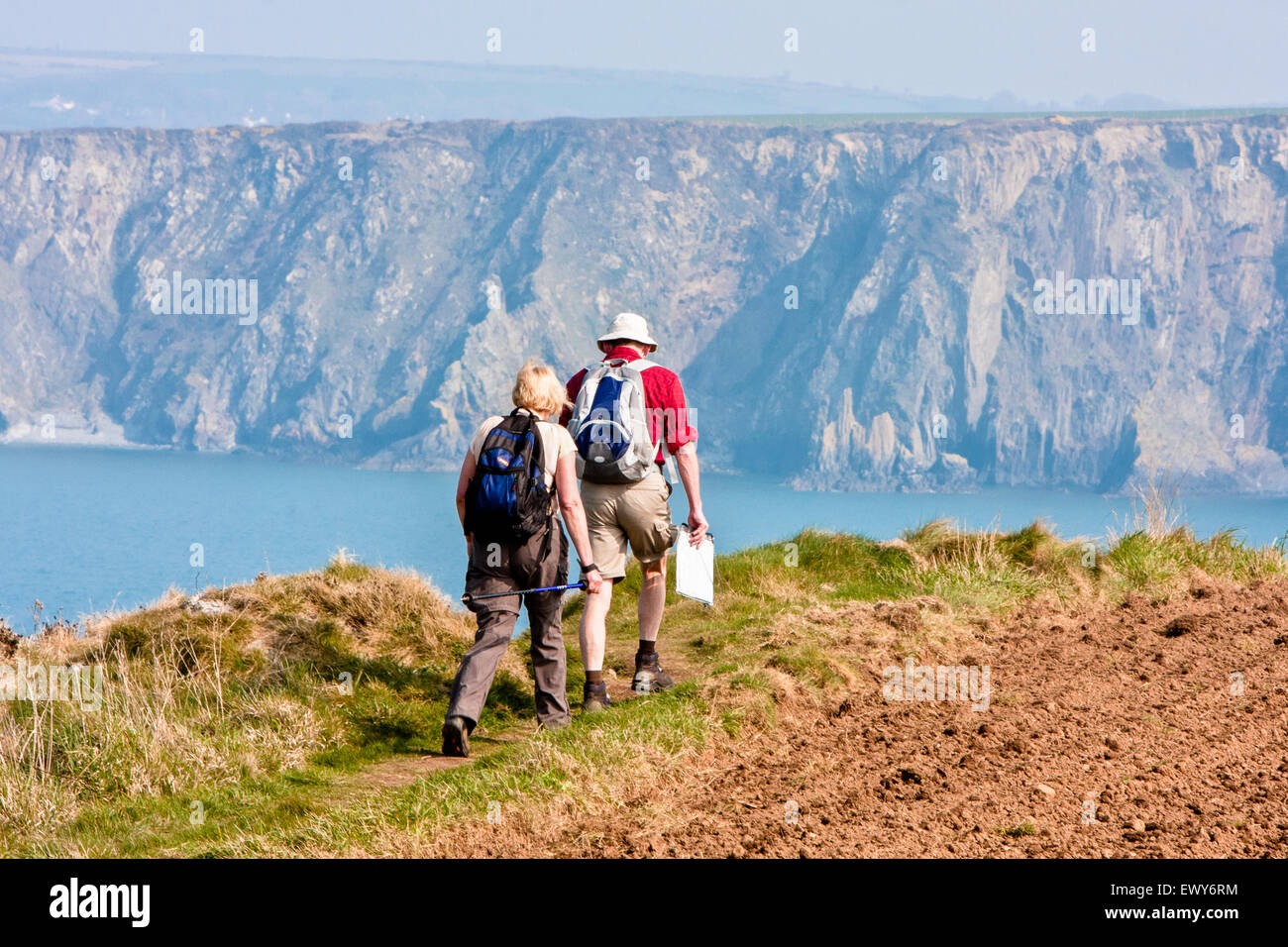 Hikers near Trefin village on Pembrokeshire Coast Path with Ramsey Island in background. March. The coastal path is a designated Stock Photo