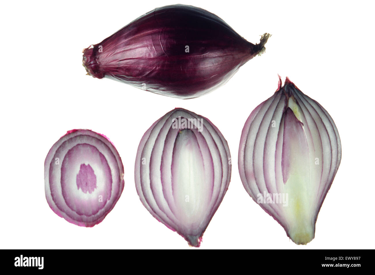 Onion onion produce cross hi-res stock photography and images - Alamy