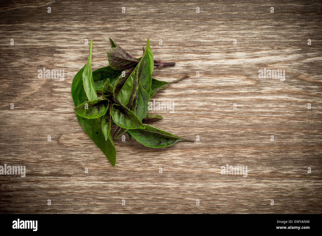 Bunch of basil leaves hi-res stock photography and images - Alamy