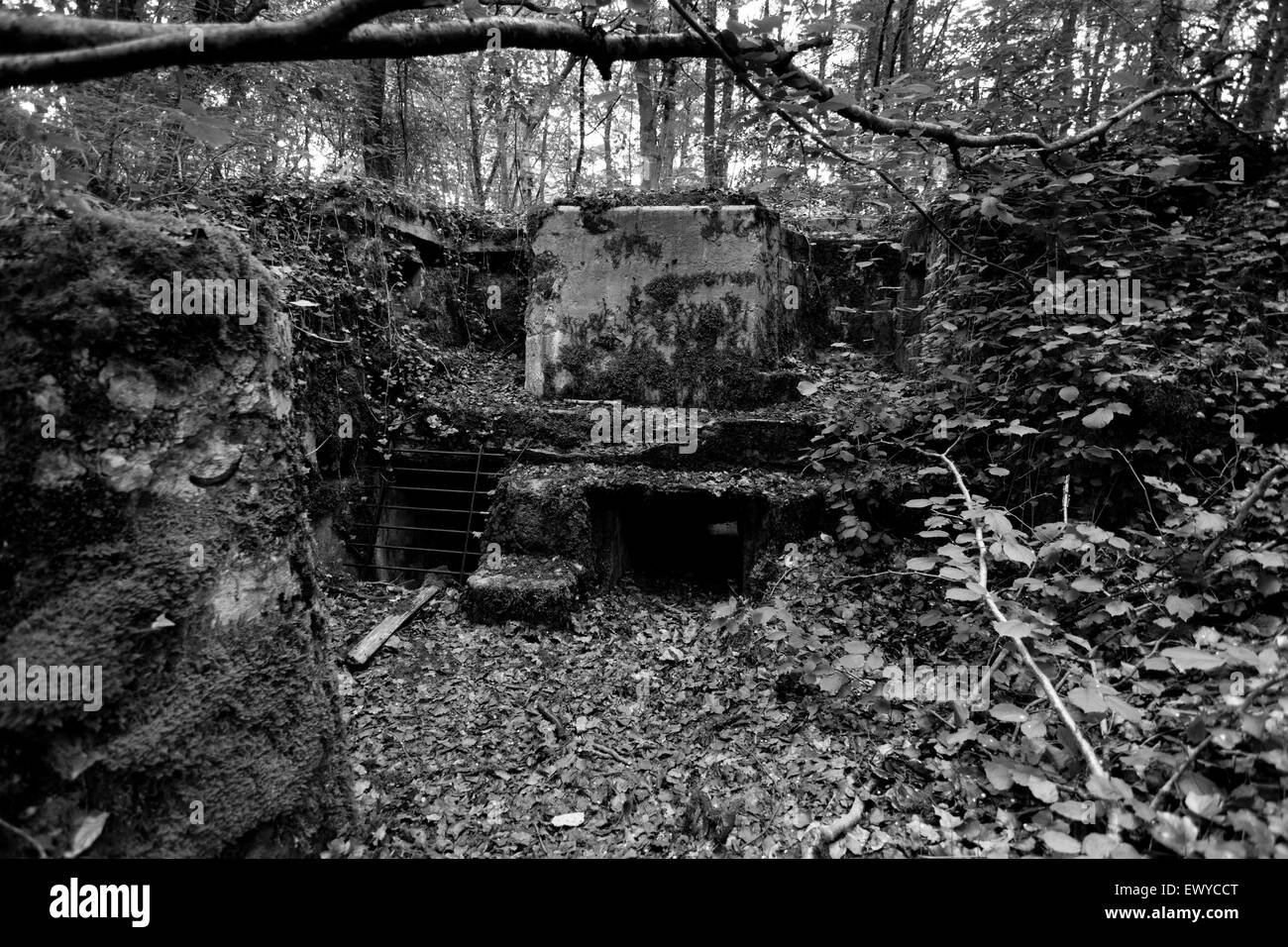 The Saint Mihiel Salient First World War battlefield in France, south
