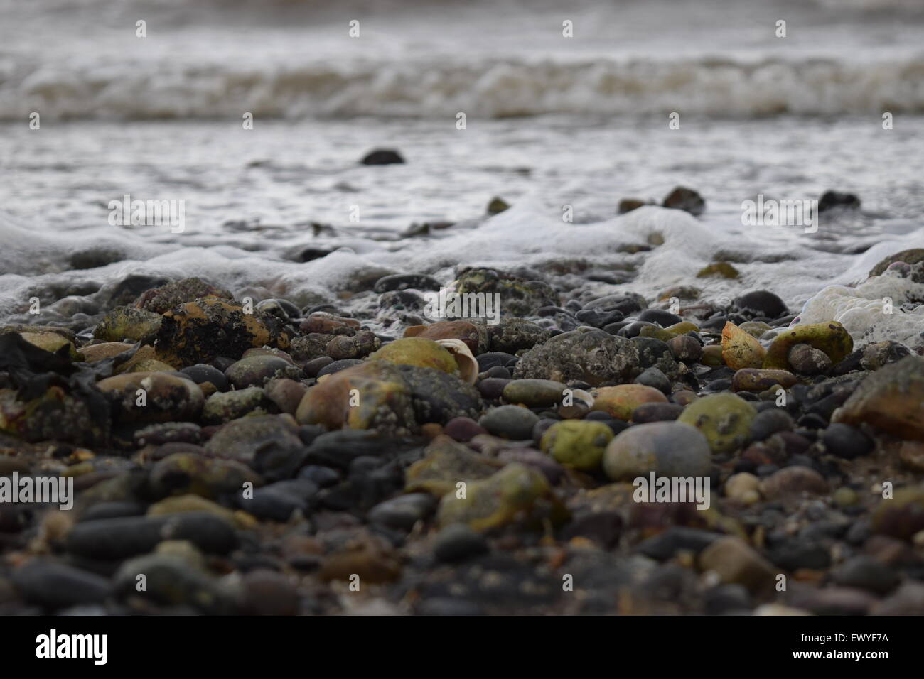 Pebble beach hi-res stock photography and images - Alamy
