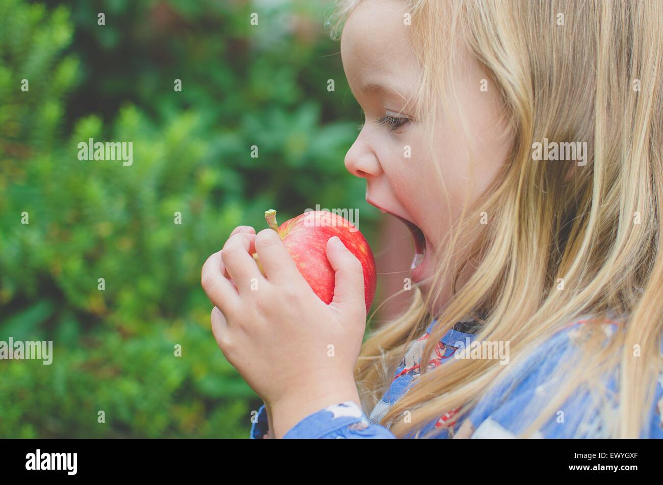 Side view of a girl about to take a bite out of an apple Stock Photo