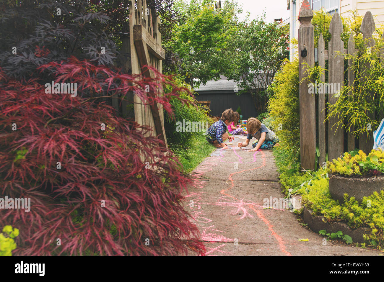 Three young children drawing with chalk on a path in a garden Stock Photo