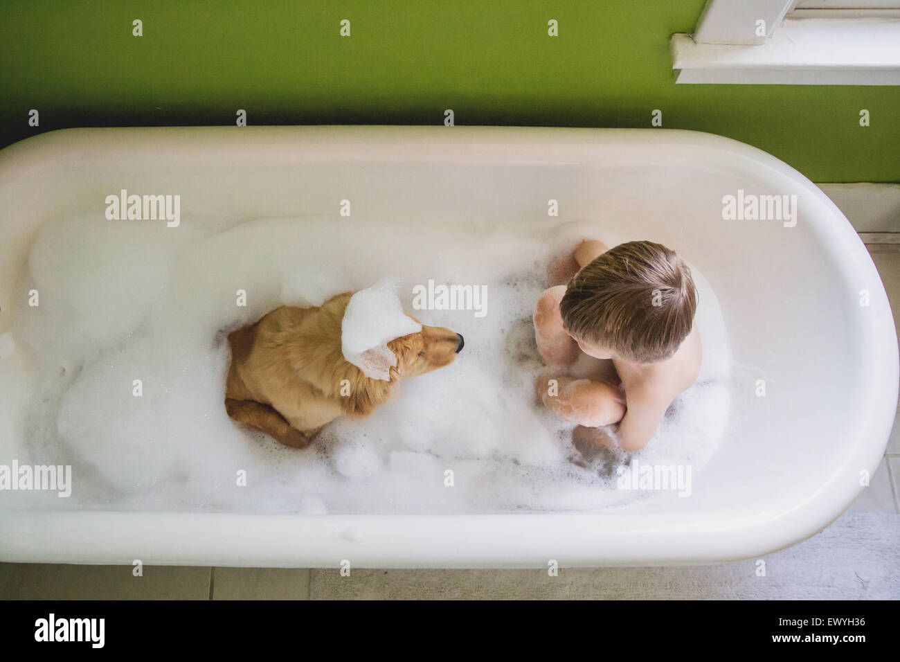 Overhead view of a Boy and his dog sitting in a bathtub Stock Photo