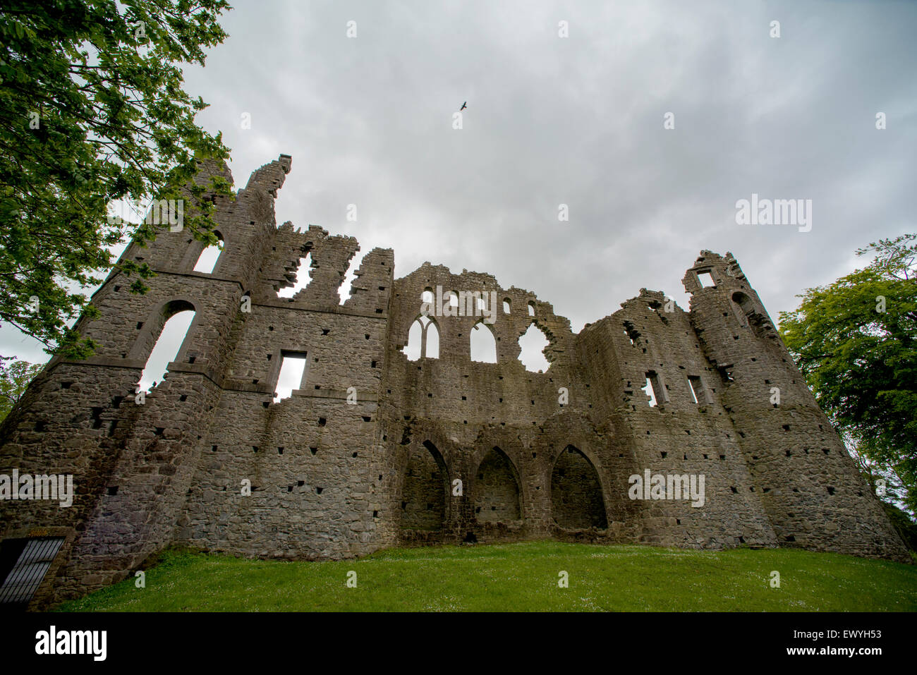 Jealous wall ireland hires stock photography and images Alamy