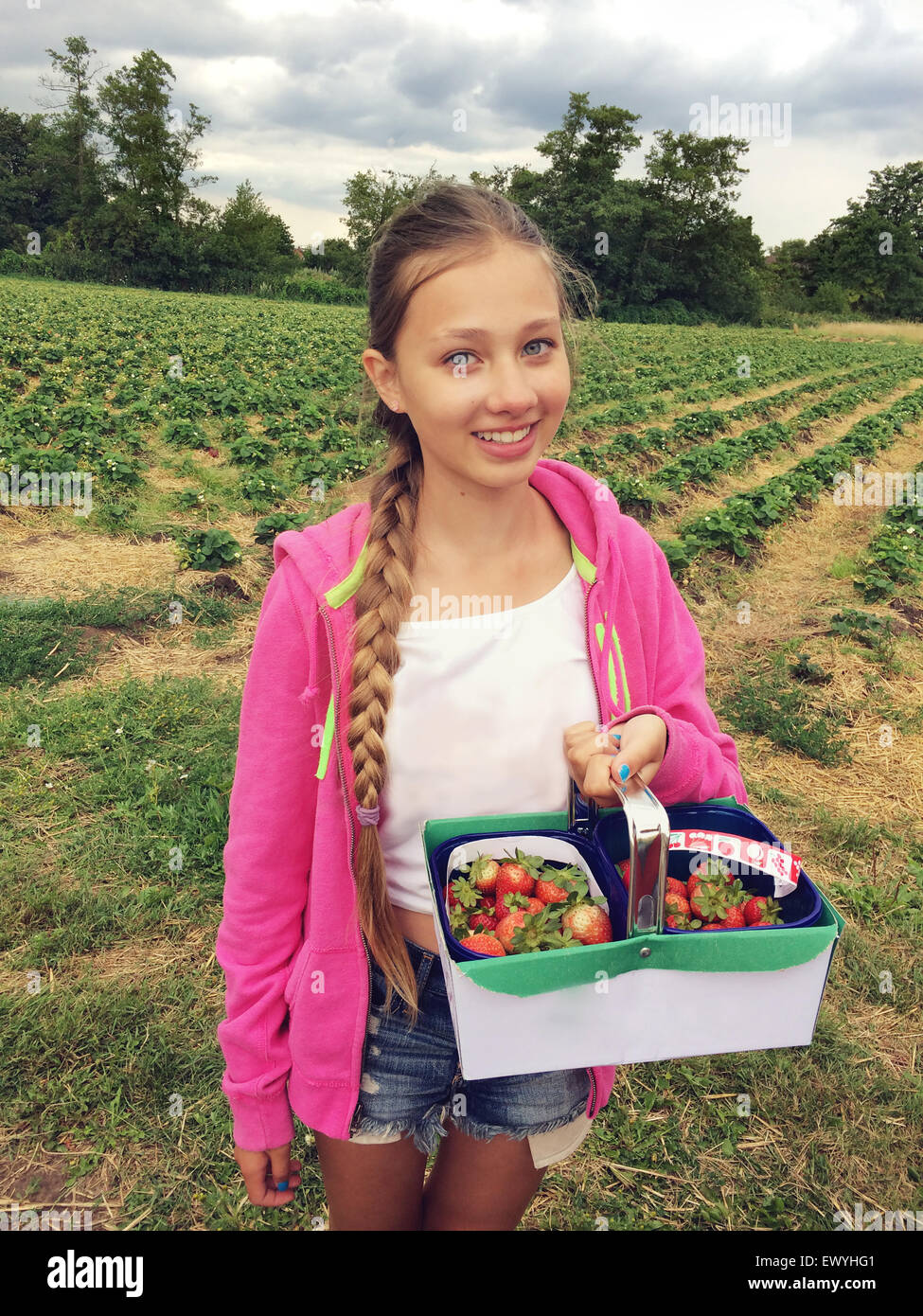 Girl Holding a Basket with Fresh Strawberries Stock Photo
