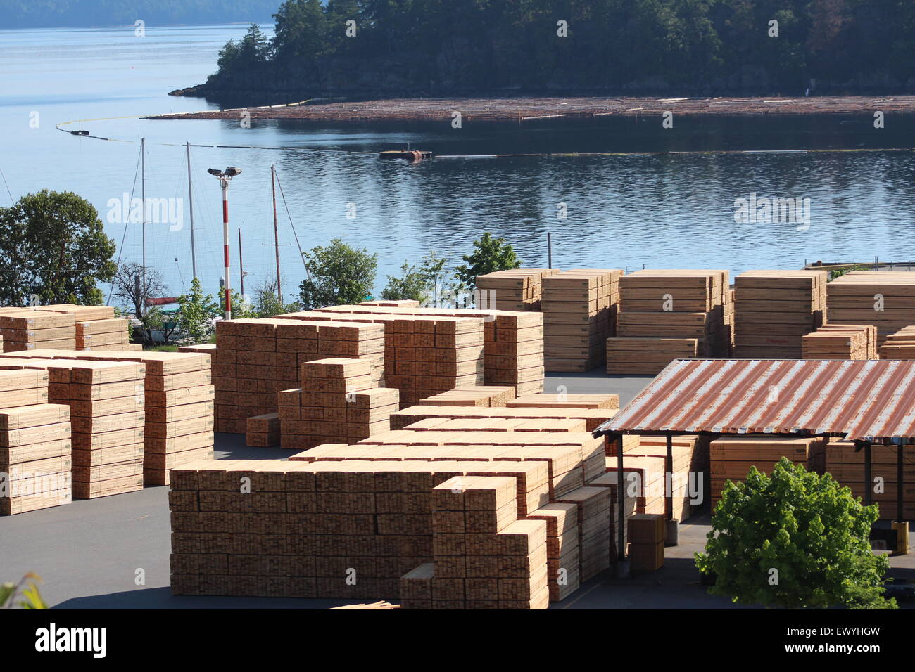 Ideal Backdrop of Lumber wood yard in Canada British Columbia