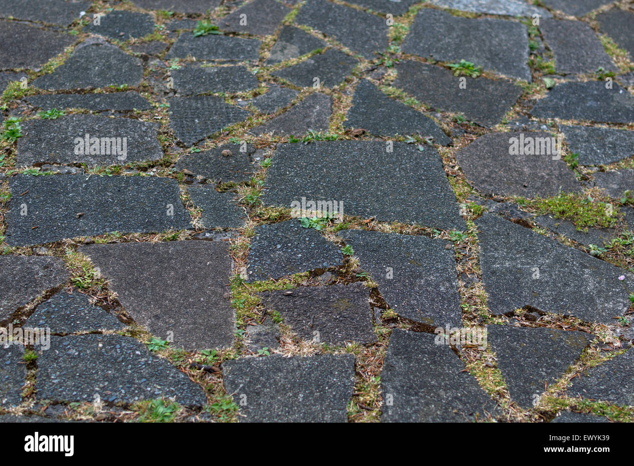 Crazy Paving Stock Photo Alamy