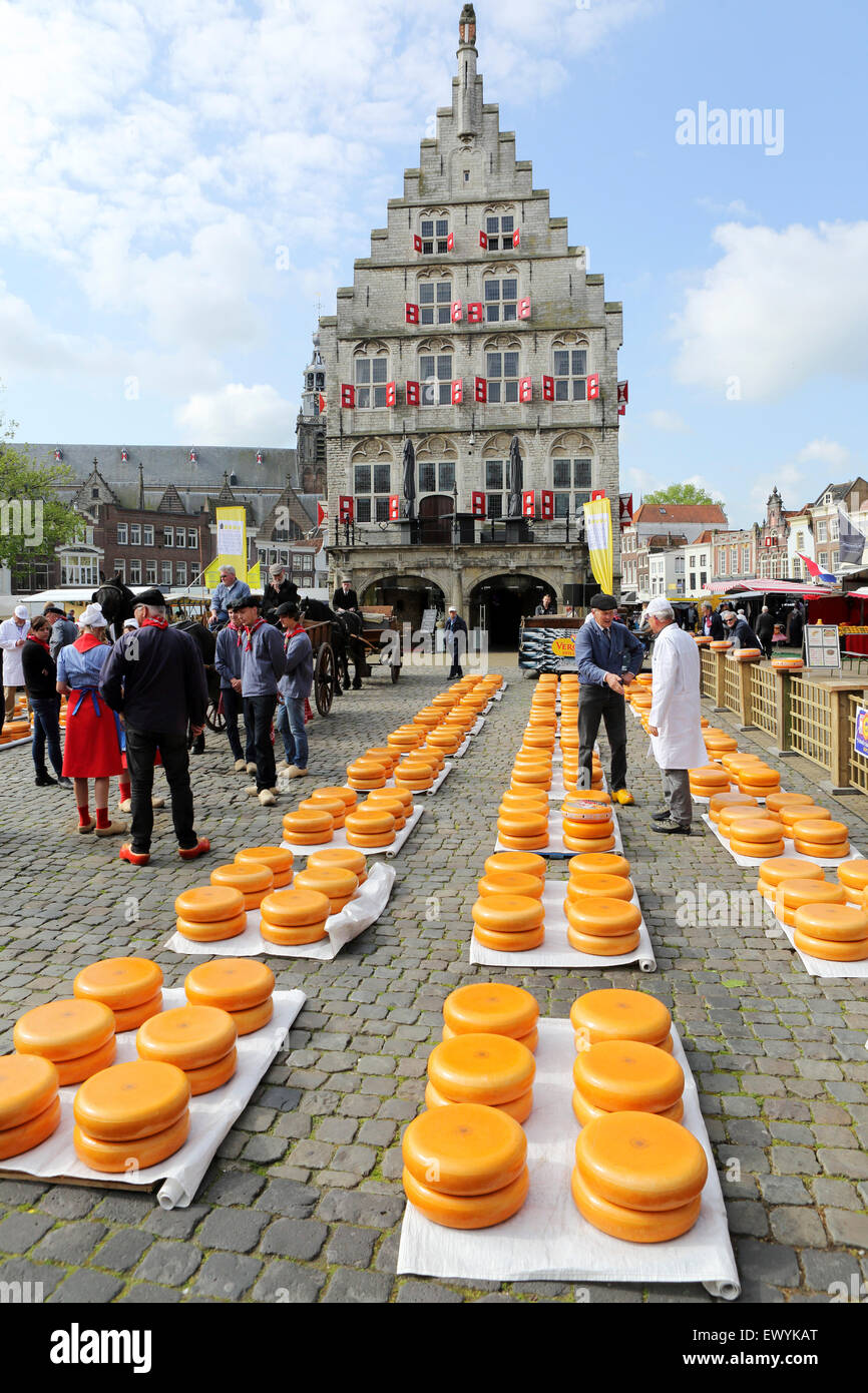 Gouda Cheese Market takes place in front of the town hall in Gouda, the