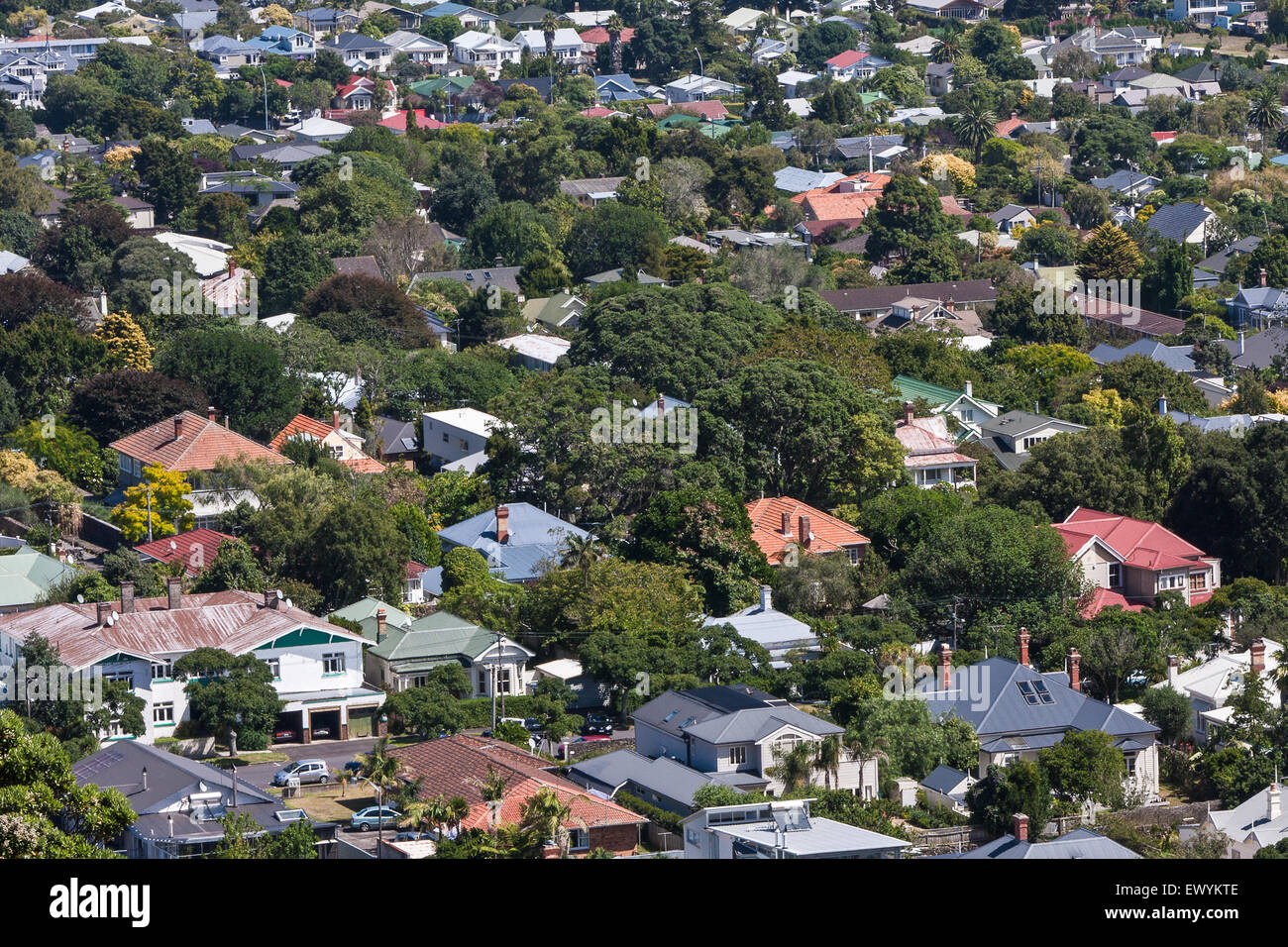 Auckland suburbs houses and greenery,New Zealand Stock Photo Alamy