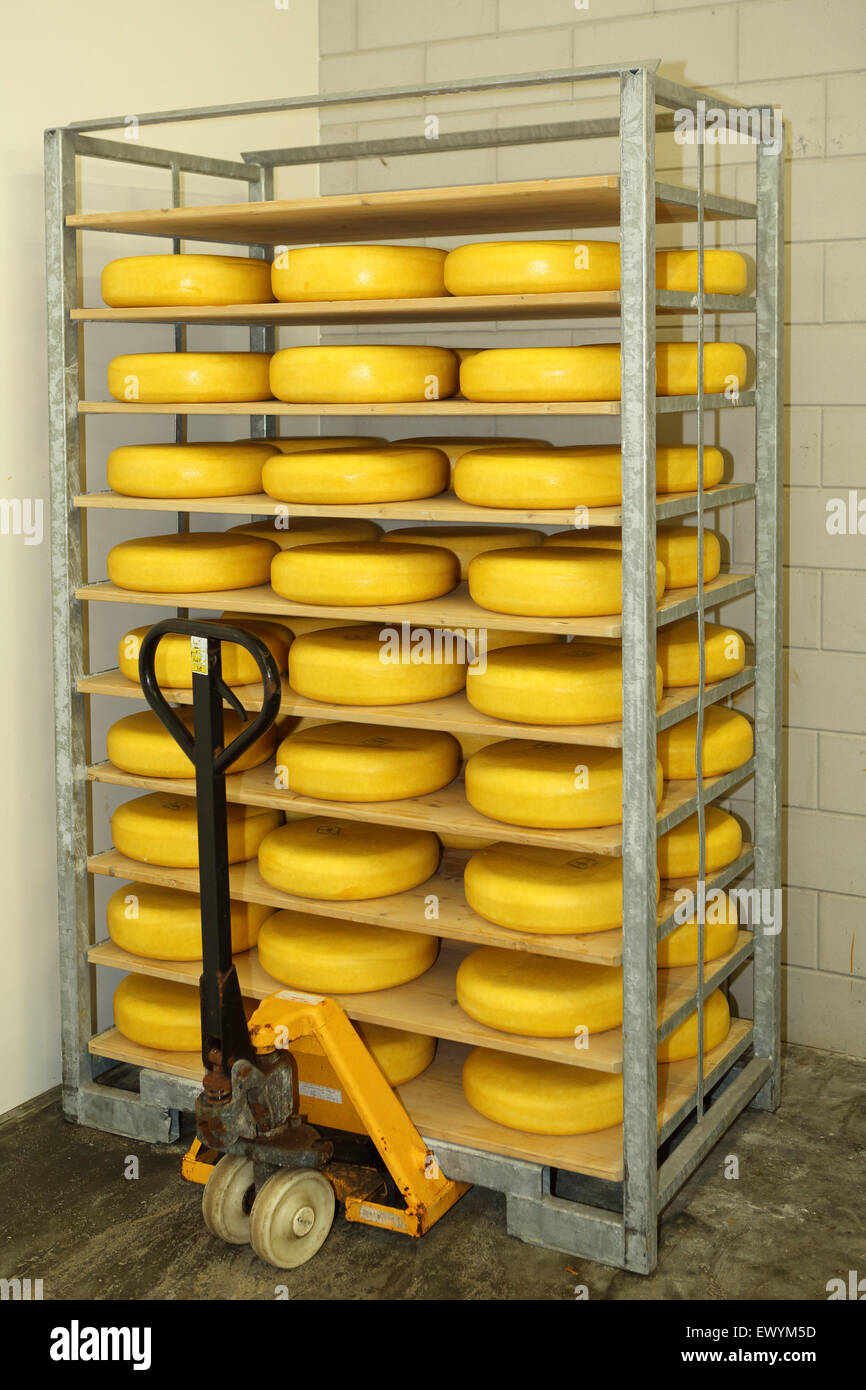 Cheese at Schep dairy farm in Gouda, the Netherlands. The farm produces