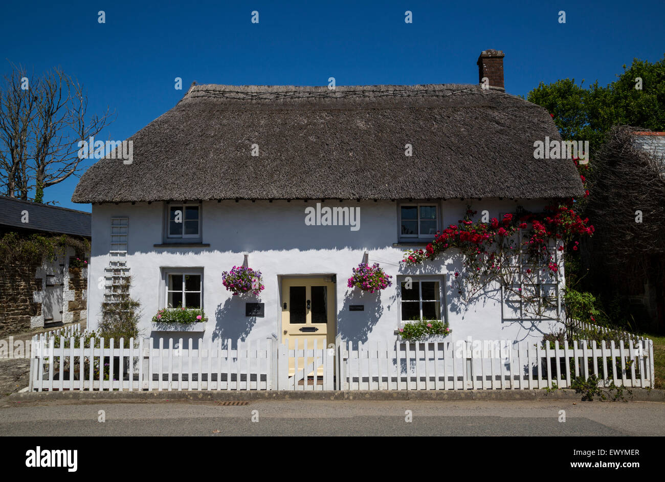 Beautiful detatched cottage near Gunwalloe Cornwall Stock Photo