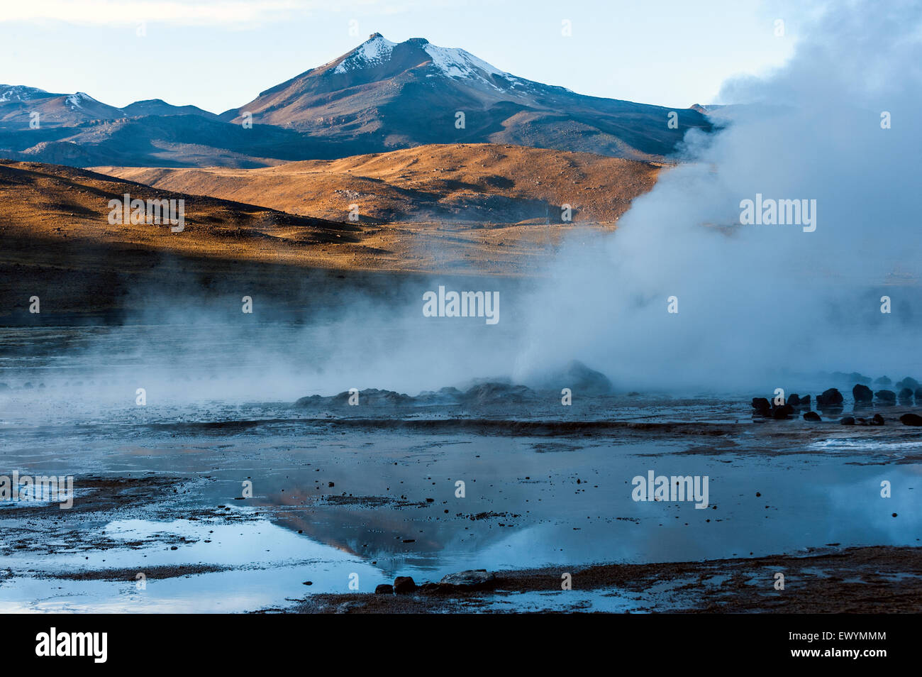 Valley Geysers at El Tatio, northern Chile at Sunrise, Atacama Region, close to the Bolivian border Stock Photo