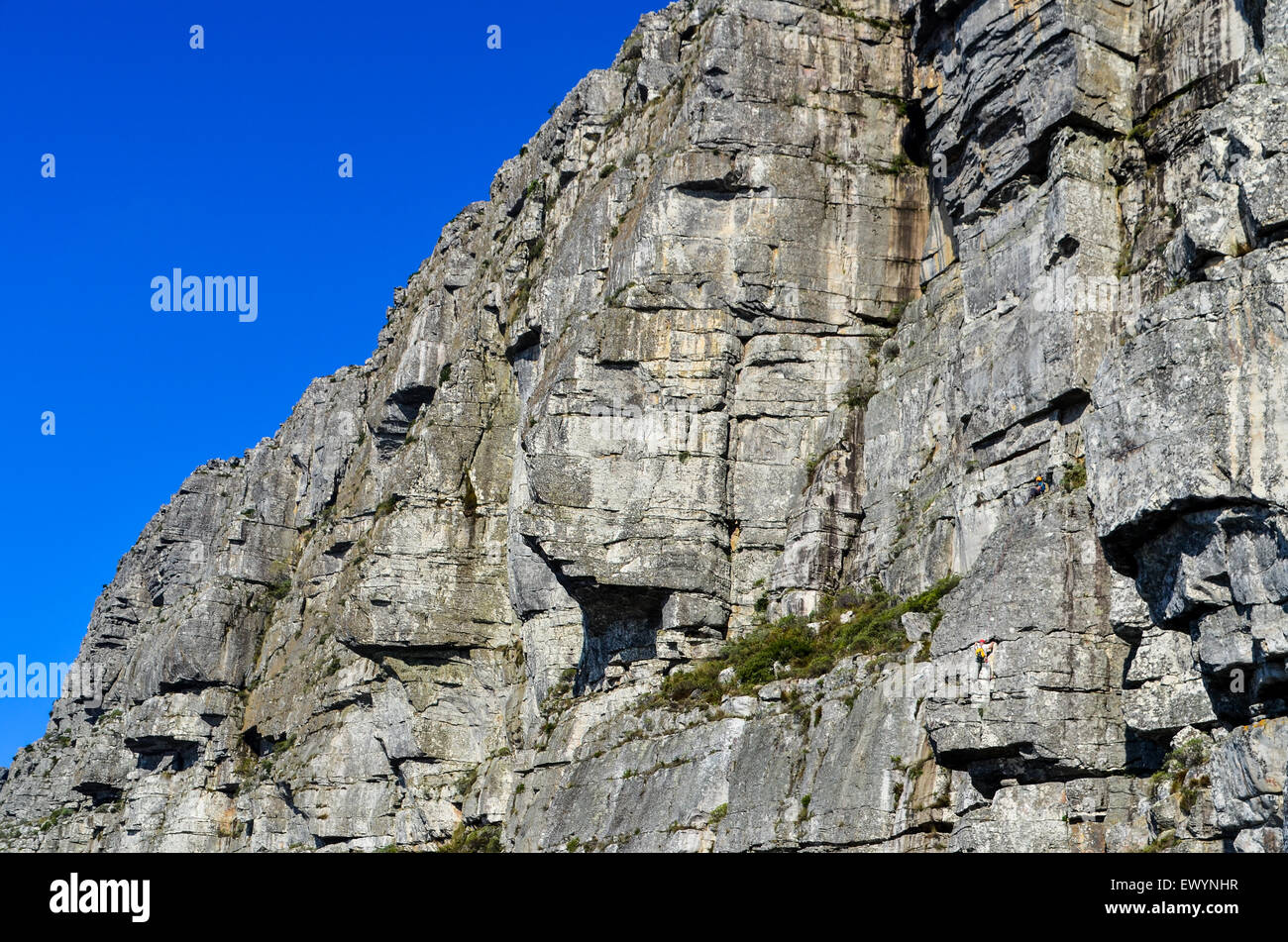 Rock climber on Table Mountain, Cape Town Stock Photo