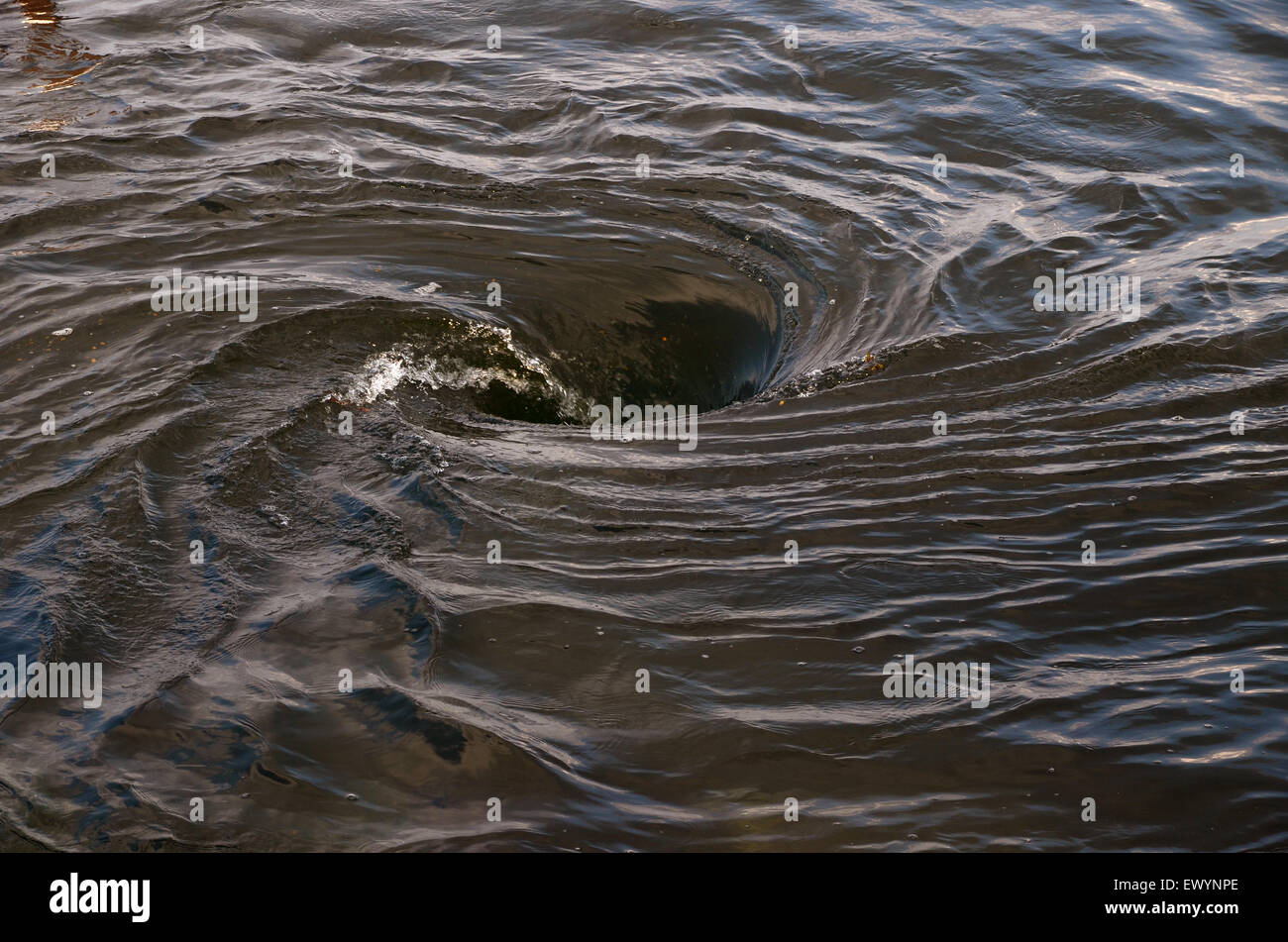 Whirlpool in the Bay of Fundy, near St Andrews, New Brunswick Stock Photo