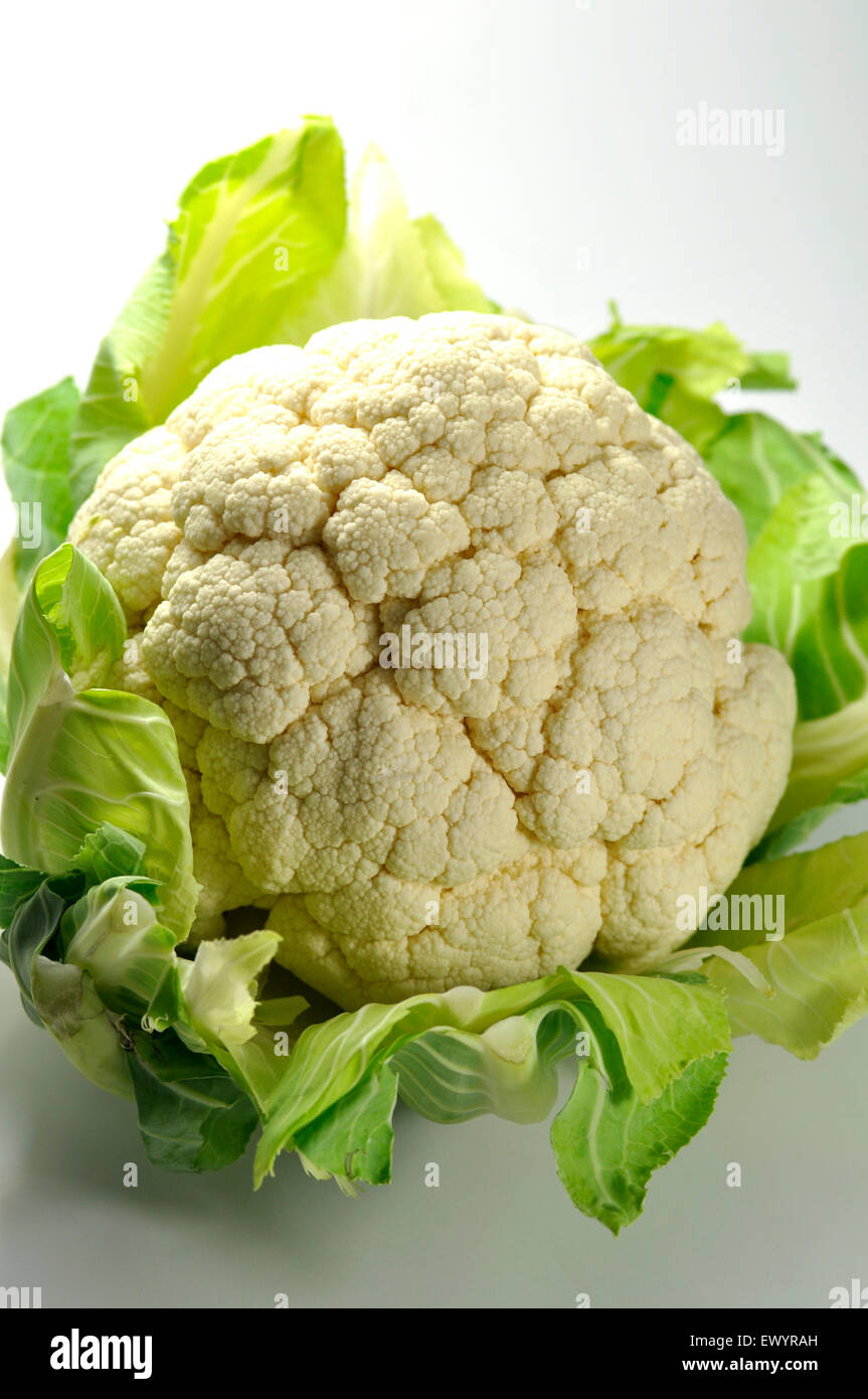 A Head of Cauliflower Stock Photo Alamy