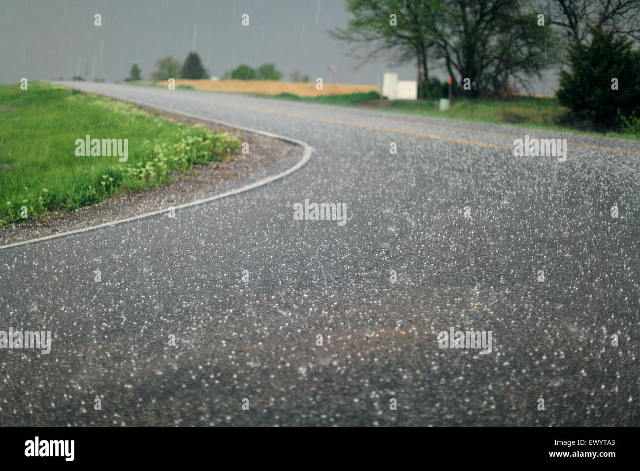 Pea-sized Hail On An Asphalt Surface Stock Photo - Alamy