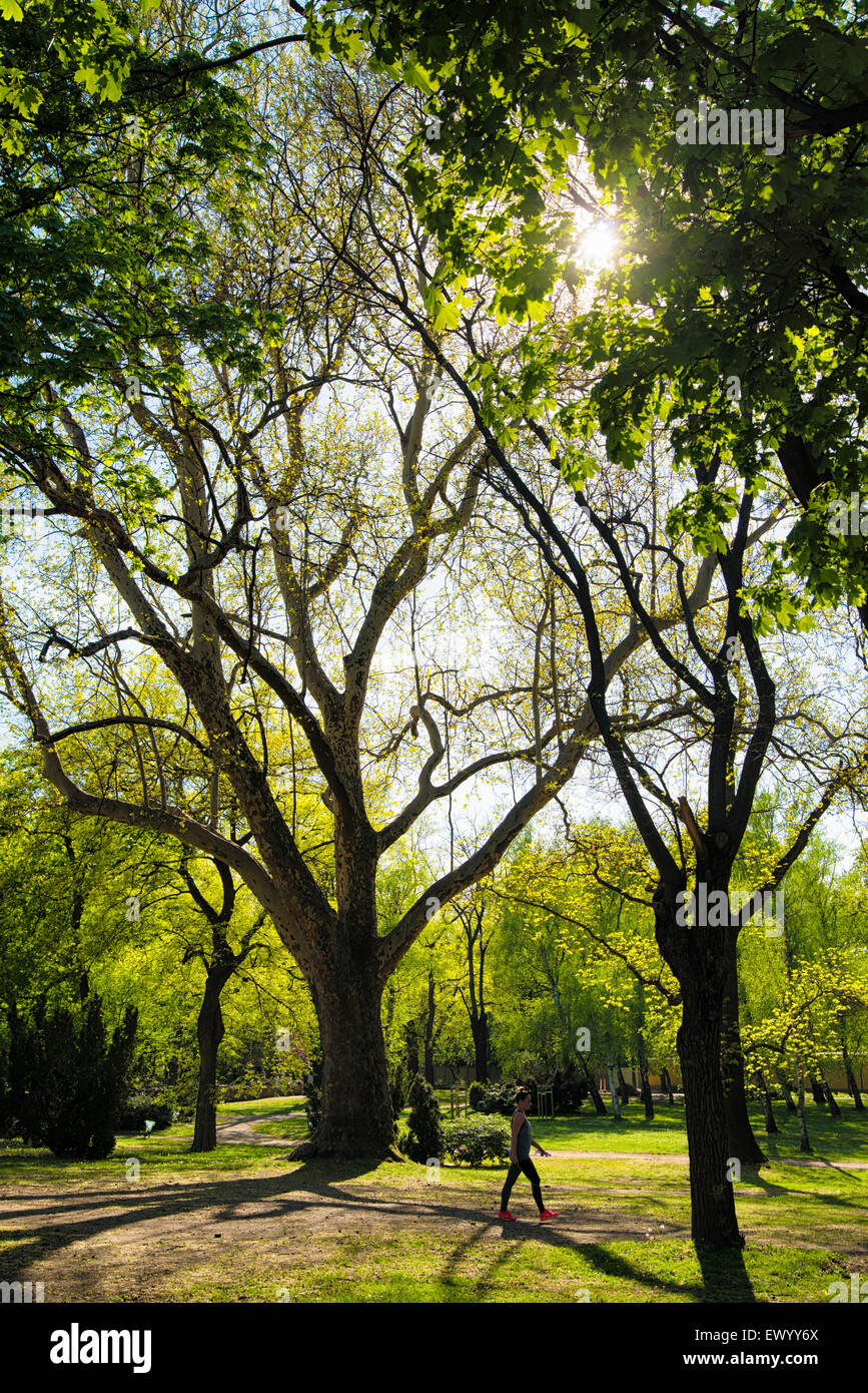 Margit Island High Resolution Stock Photography and Images - Alamy