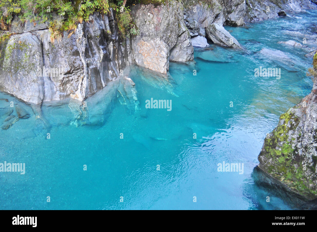 Clean Haast river in New Zealand Stock Photo