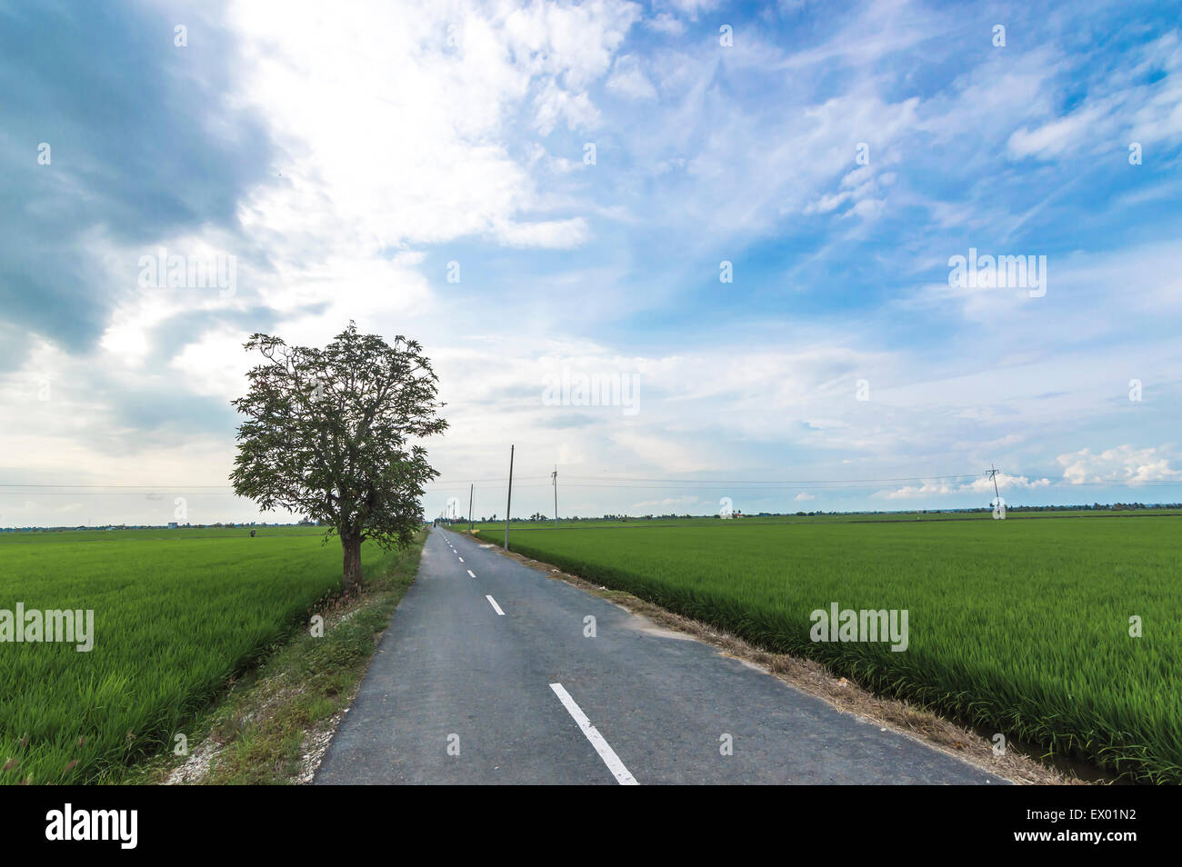 asphalt road through the green field and clouds on blue sky Stock Photo ...