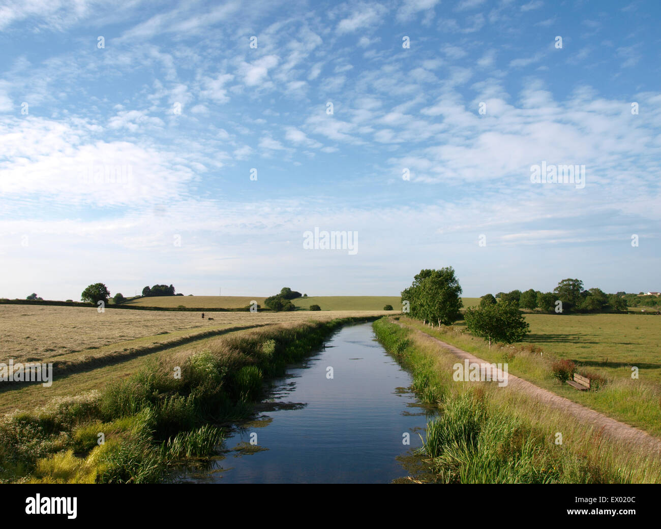 Bridgwater and Taunton Canal, Somerset, UK Stock Photo