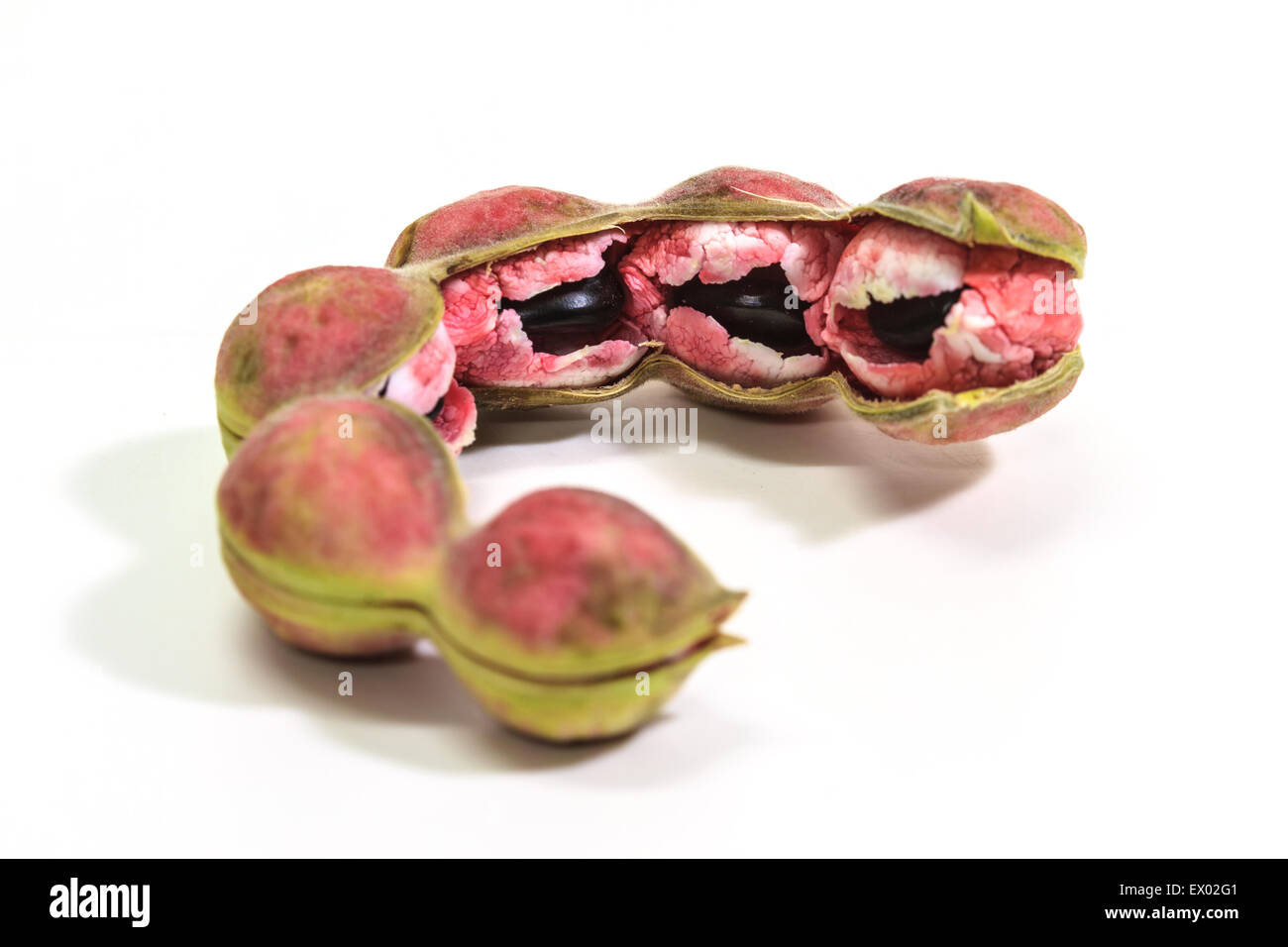 Manila tamarind fruit isolated on white background Stock Photo Alamy