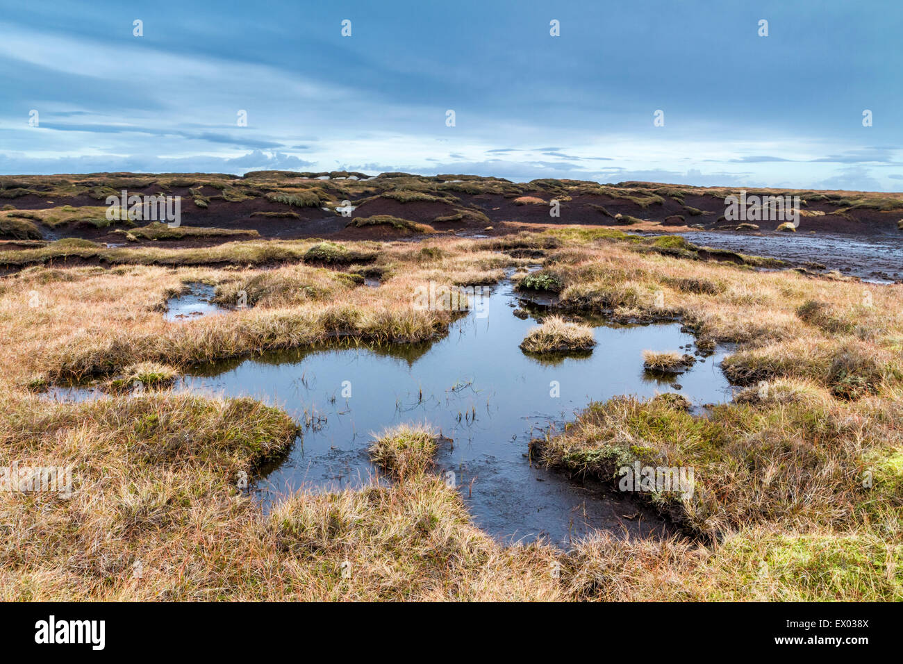 Boggy peatland. Blanket peat bog moorland on Kinder Scout, Derbyshire