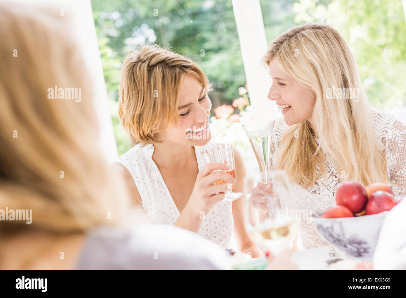 Adult sisters making a toast at birthday party Stock Photo