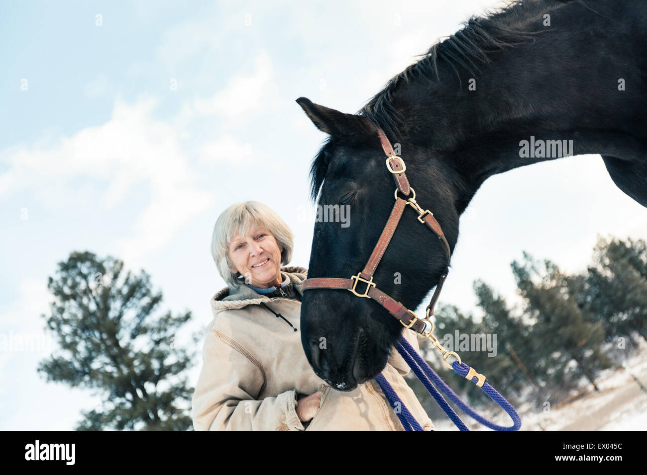 Senior adult woman standing with horse in snowy landscape Stock Photo