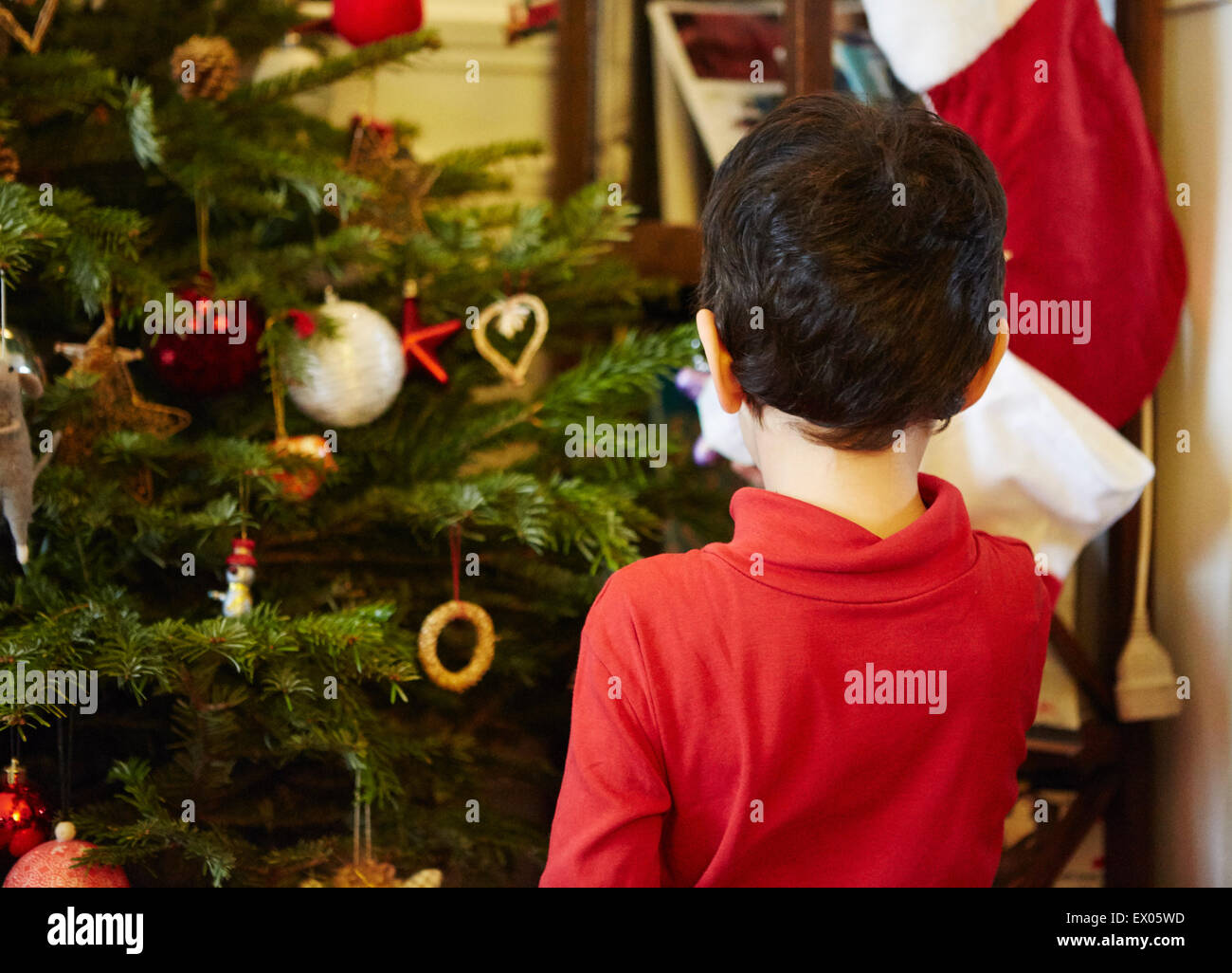 Boy decorating christmas tree Stock Photo Alamy